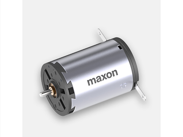 maxon motor 110119