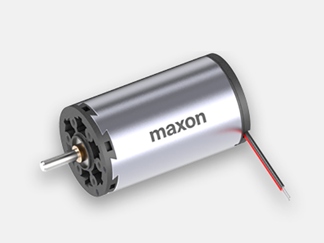 maxon motor 206344
