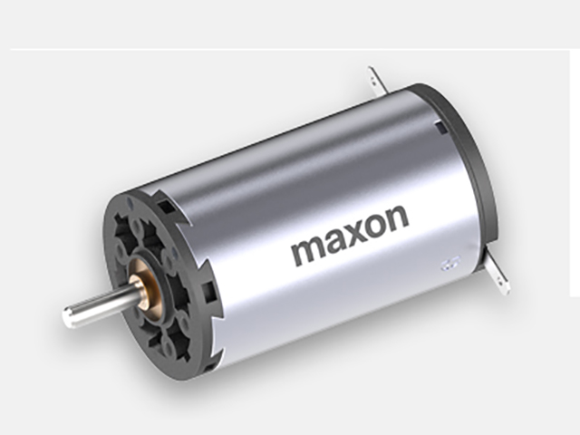 maxon motor 110182