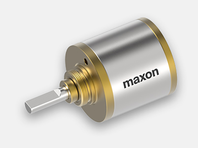maxon motor 310301