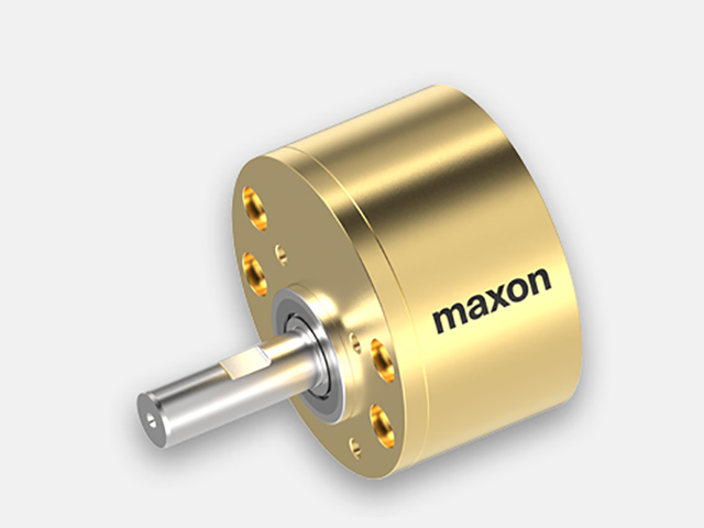 maxon motor 301186